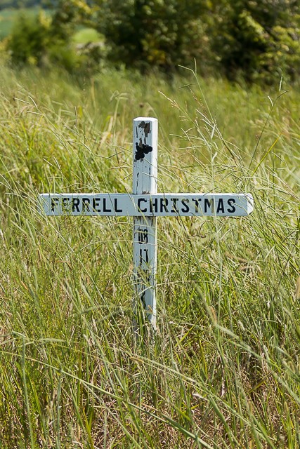 Ferrell Christmas
